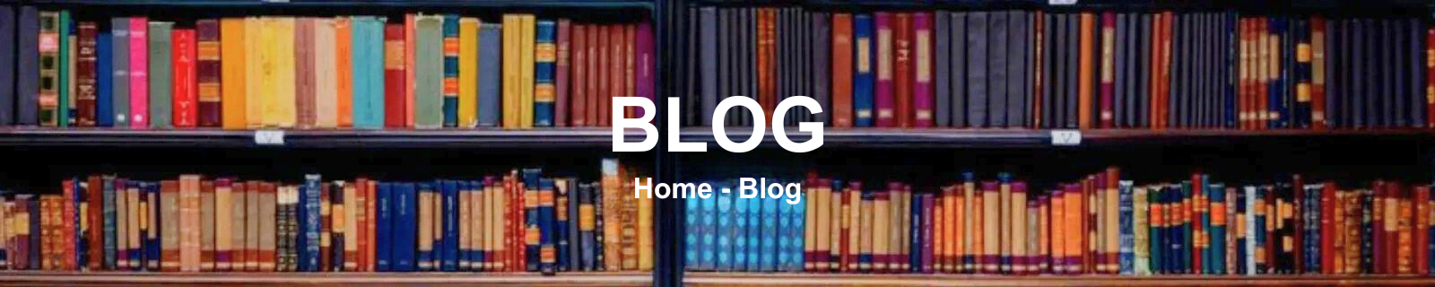 Blog-Web Home Blog